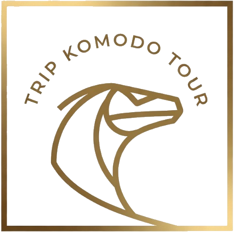 Trip Komodo Tour