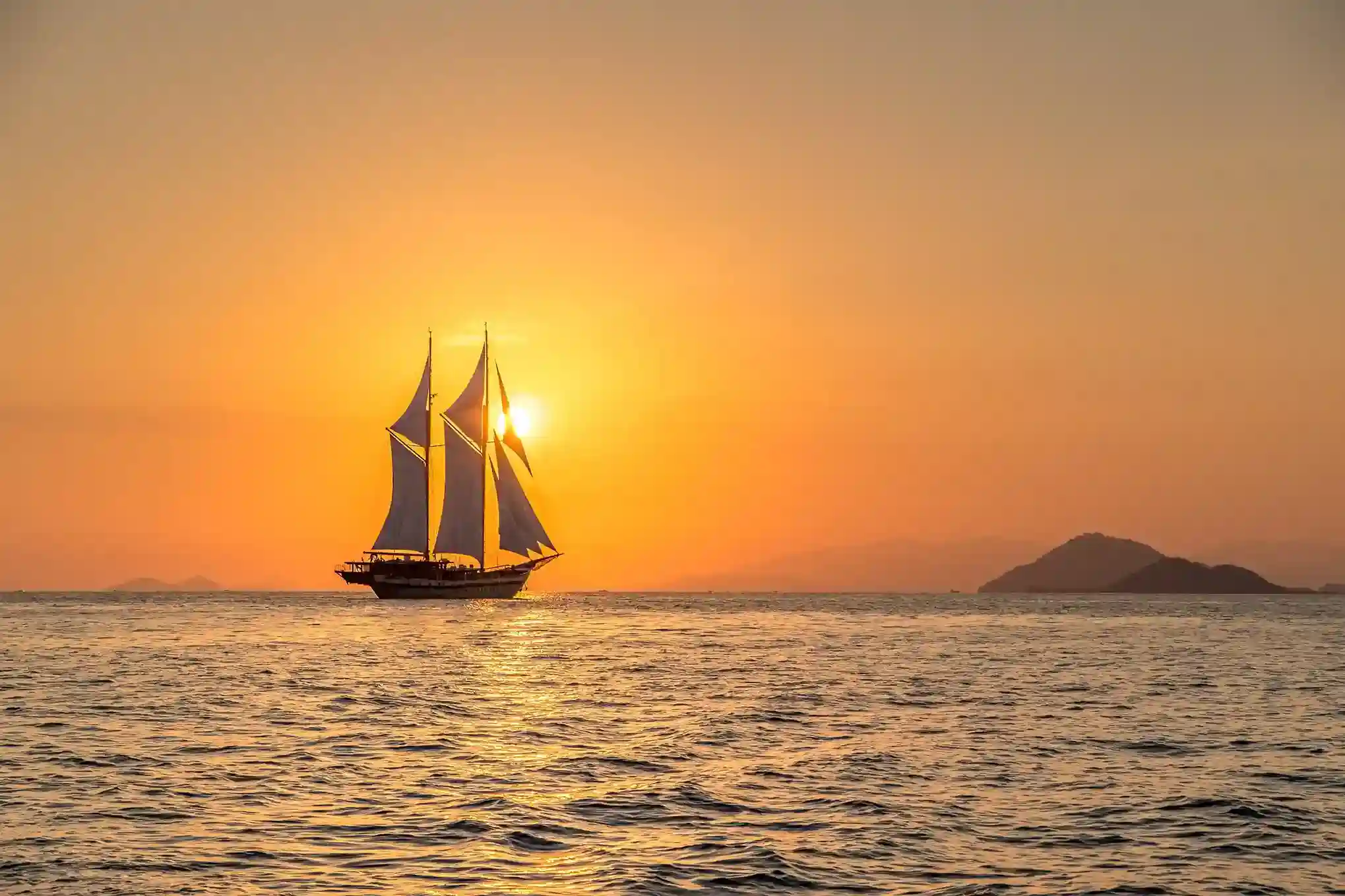 Komodo Tour Form Background